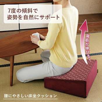 腰にやさしい床坐クッション メイダイ