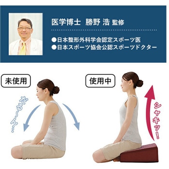 腰にやさしい床坐クッション メイダイ