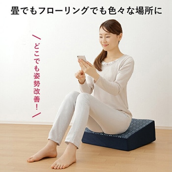 腰にやさしい床坐クッション メイダイ