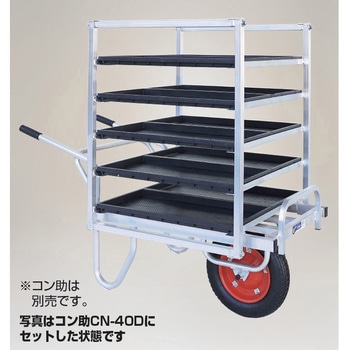 コン助ラック HARAX(ハラックス)