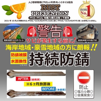 ラストリムーバー100ml+ラストプリベンション100ml ドーイチ