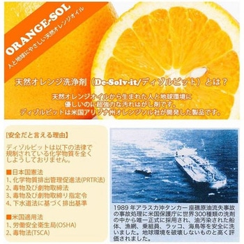 ディゾルビット100ml 2本セット ドーイチ