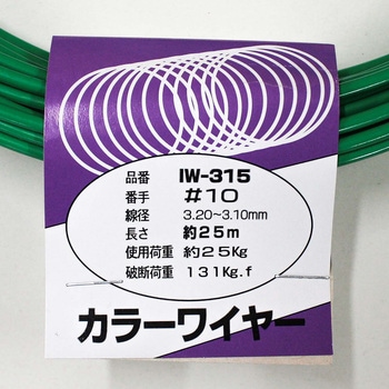カラーワイヤー アイアイ