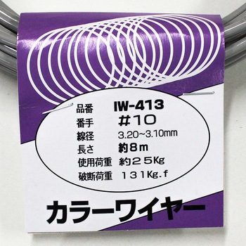 カラーワイヤー アイアイ