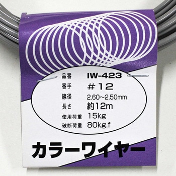 カラーワイヤー アイアイ