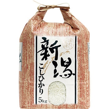 【袋のみ】 味わい風味・新潟こしひかり アサヒパック