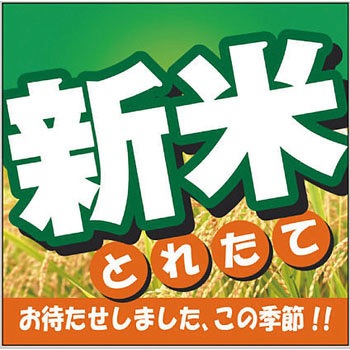 - �Ƃꂽ�� �V�� �A�T�q�p�b�N 19600963