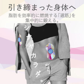 HCT-P01BU2 EMS ECLEAR lean エクリア リーン 1式(2個) エレコム