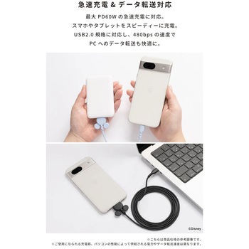 ディズニーキャラクター USB 2.0 CABLE TYPE-C to TYPE-C 1.5m Hamee(ハミィ)