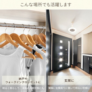 LEDシーリングファン YAMAZEN(山善)
