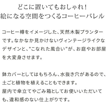 コーヒーバレル 大小2個組 住まいスタイル