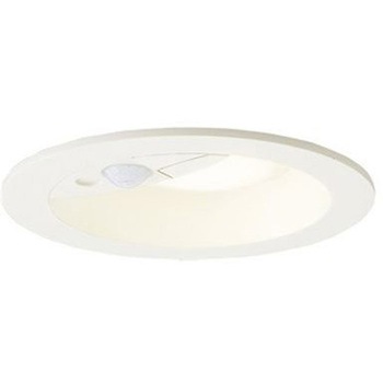 LRDC3146VLE1 準耐火構造対応 天井埋込型 軒下用 ダウンライト Panasonic(パナソニック) 19653631