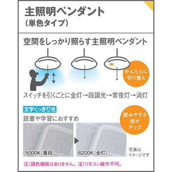 天井吊下型 和風 ペンダント Panasonic(パナソニック)