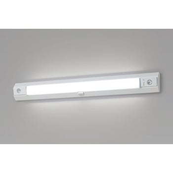 一体型階段灯40形低光束60分NTミドル Panasonic(パナソニック)
