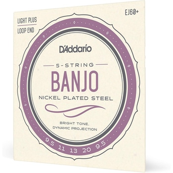 バンジョー弦 D'Addario