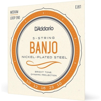 バンジョー弦 D'Addario