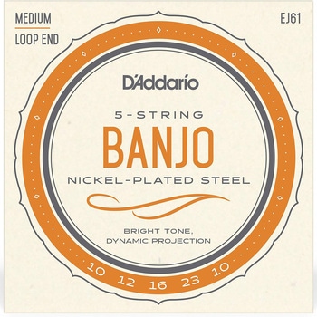 バンジョー弦 D'Addario