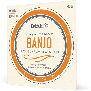 テナーバンジョー弦 D'Addario