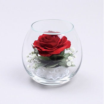 D-0034 �{�g���t�����[ �M�t�g�p hanagonomi 19664978