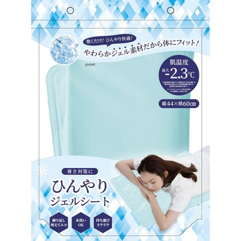 - �Ђ���W�F���V�[�g �O���[�o���E�W���p�� 19665689