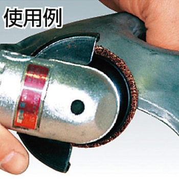”スカットディスク” 羊毛タイプ イチグチ