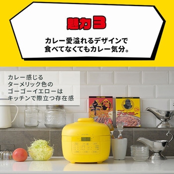ゴーゴーカレー 電気圧力鍋 2.2L アレンジレシピ付 YAMAZEN(山善)