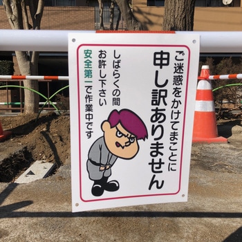 レーザーピーチリサイクル 大王製紙