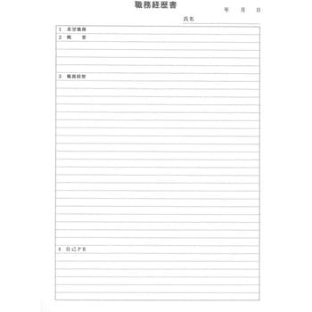 複写式職務経歴書 日本法令