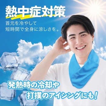 首に巻ける 氷のう 氷嚢 巻ける氷のう AFF WARE