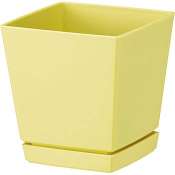 - �N�G���`���[�|�b�g(�v���[�g�t) ��a�v���X�`�b�N 19808093