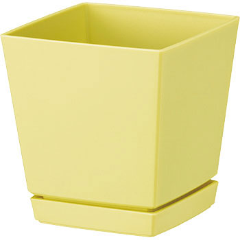 - �N�G���`���[�|�b�g(�v���[�g�t) ��a�v���X�`�b�N 19808127