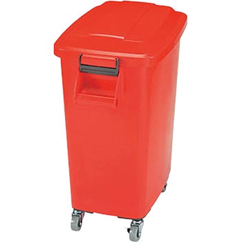 CK-70 �J���[�y�[��(�L���X�^�[�t��) Aron(�A��������) 19809598