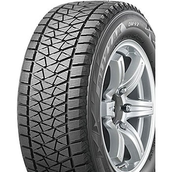 BLIZZAK DM-V2 BRIDGESTONE(ブリヂストン)