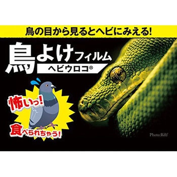 鳥避けフィルム ヘビウロコ インテリムジャパン