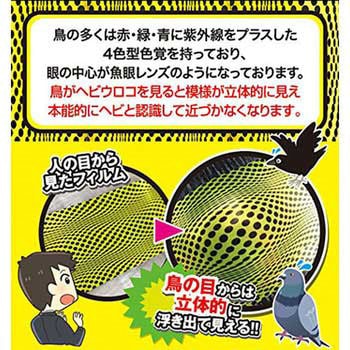 鳥避けフィルム ヘビウロコ インテリムジャパン