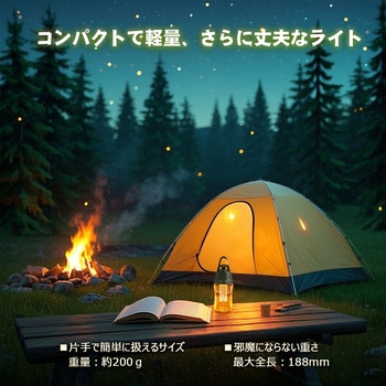 充電式LEDランタン 電球色 防水 明るさ調節 耐衝撃設計 フック付 GOODGOODS(グッド・グッズ)