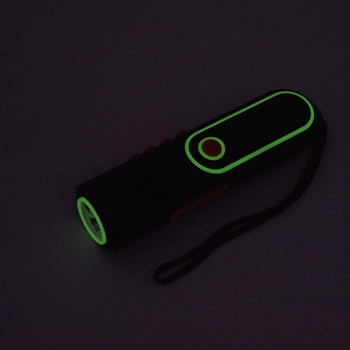 自家発電LEDライト 日動工業