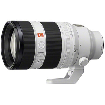デジタル一眼カメラα[Eマウント]用レンズ FE 50-15mm F2 GM SONY