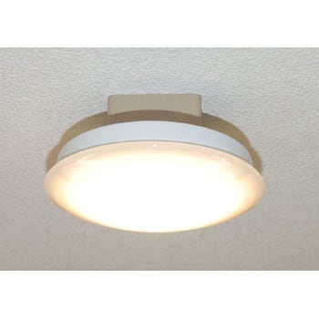 small ceiling mount light