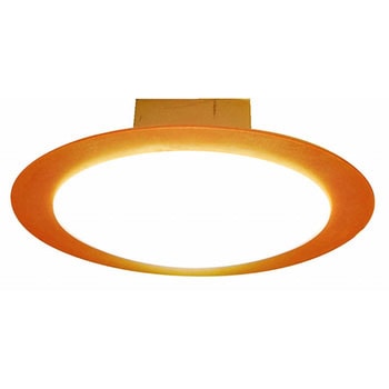 LED小型シーリングライト スワン電器