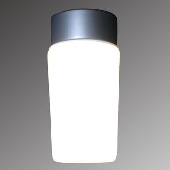 LED防滴ライト スワン電器