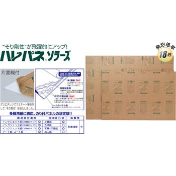ハレパネSR(ソラーズ) プラチナ万年筆