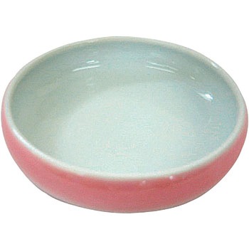 夢食器虹彩 アメックス熊本
