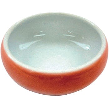 夢食器虹彩 アメックス熊本
