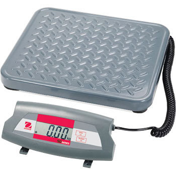 SD35 GRm~[͂ I[nEX 20002816