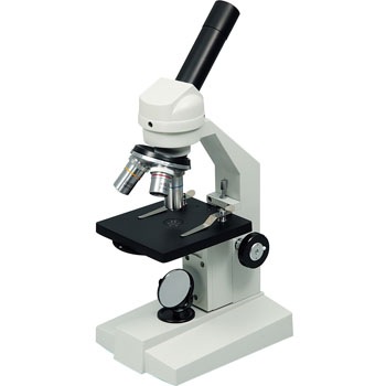 9873 ����������E �A�[�e�b�N[�w�Z���ށE����ߋ�] 20040073