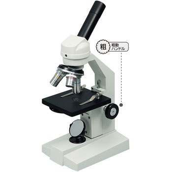 9889 ����������E �A�[�e�b�N[�w�Z���ށE����ߋ�] 20040107