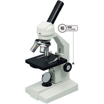 9888 ����������E �A�[�e�b�N[�w�Z���ށE����ߋ�] 20040116