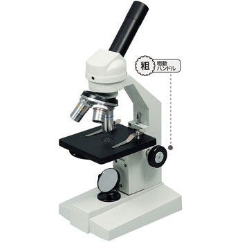 9970 ����������E �A�[�e�b�N[�w�Z���ށE����ߋ�] 20040125