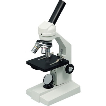 9874 ����������E �A�[�e�b�N[�w�Z���ށE����ߋ�] 20040134